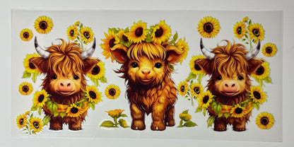 Cows - Cup Wraps