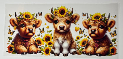Cows - Cup Wraps