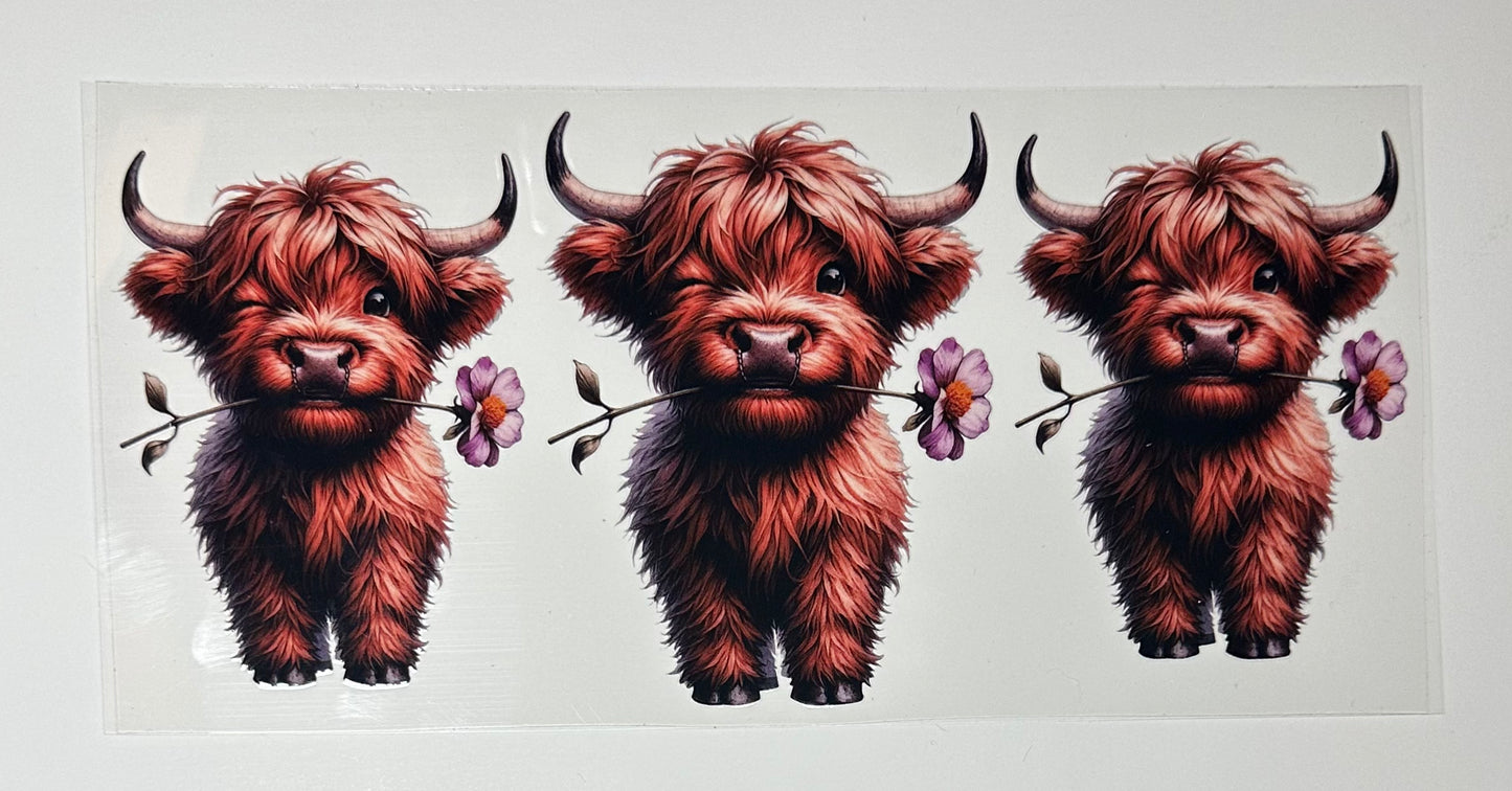 Cows - Cup Wraps